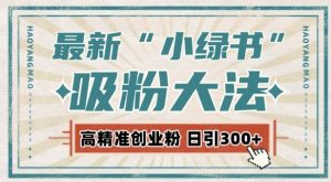 最新自动化“吸粉术”，小绿书激活私域流量，每日轻松吸引300+高质精准粉!-沐风资源库