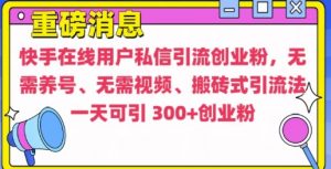 快手最新引流创业粉方法，无需养号、无需视频、搬砖式引流法【揭秘】-沐风资源库