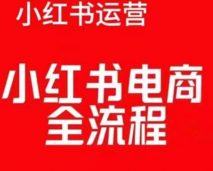 红薯电商实操课，小红书电商全流程-沐风资源库