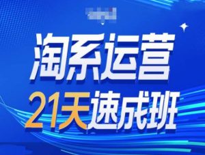 淘系运营21天速成班第34期-搜索最新玩法和25年搜索趋势-沐风资源库