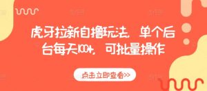 虎牙拉新自撸玩法，单个后台每天100+，可批量操作-沐风资源库