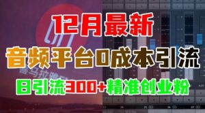 12月最新：音频平台0成本引流，日引流300+精准创业粉-沐风资源库
