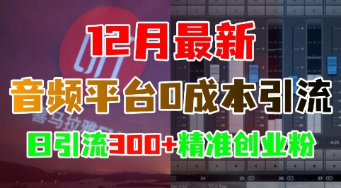 12月最新：音频平台0成本引流，日引流300+精准创业粉-沐风资源库