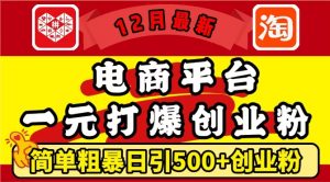 12月最新：电商平台1元打爆创业粉，简单粗暴日引500+精准创业粉，轻松月入过W【揭秘】-沐风资源库
