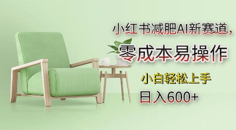 小红书减肥AI新赛道，零成本易操作，日入多张，小白轻松上手【揭秘】-沐风资源库