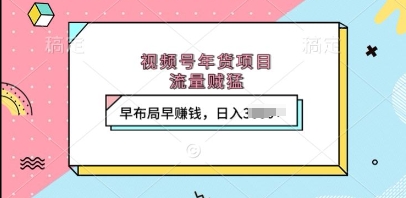 视频号年货项目，流量贼猛，早布局早挣钱，日入上k【揭秘】-沐风资源库