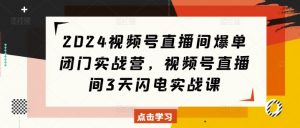 2024视频号直播间爆单闭门实战营,视频号直播间3天闪电实战课-沐风资源库