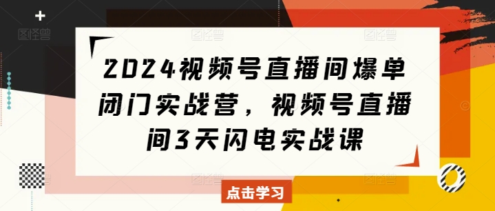 2024视频号直播间爆单闭门实战营,视频号直播间3天闪电实战课-沐风资源库