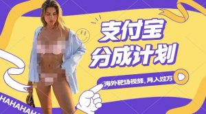 利用海外靶场射击视频，挣支付宝分成收益，轻松月入过W【揭秘】-沐风资源库