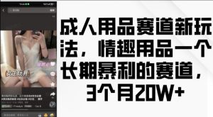 成人用品赛道新玩法，情趣用品一个长期暴利的赛道，3个月收益20个【揭秘】-沐风资源库