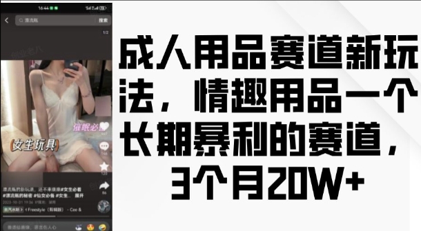成人用品赛道新玩法，情趣用品一个长期暴利的赛道，3个月收益20个【揭秘】-沐风资源库