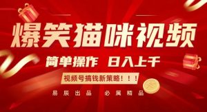 爆笑猫咪视频：简单操作，日入过K，视频号搞钱新策略【揭秘】-沐风资源库