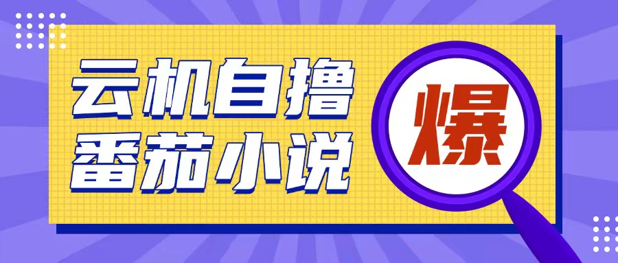 首发云手机自撸小说玩法，10块钱成本可撸200+收益操作简单【揭秘】-沐风资源库