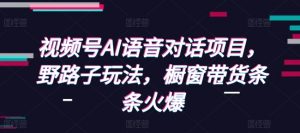 视频号AI语音对话项目，野路子玩法，橱窗带货条条火爆-沐风资源库