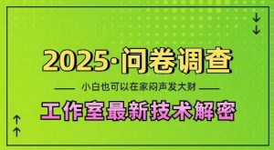 2025问卷调查最新工作室技术解密：一个人在家也可以闷声发大财，小白一天2张，可矩阵放大【揭秘】-沐风资源库