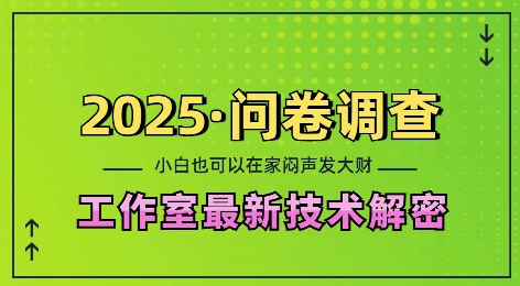 2025问卷调查最新工作室技术解密：一个人在家也可以闷声发大财，小白一天2张，可矩阵放大【揭秘】-沐风资源库