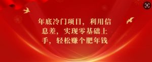 年底冷门项目，利用信息差，实现零基础上手，轻松赚个肥年钱【揭秘】-沐风资源库