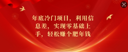 年底冷门项目，利用信息差，实现零基础上手，轻松赚个肥年钱【揭秘】-沐风资源库