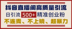 抖音直播间引流创业粉，无需连麦、不用上镜、超暴力，日引流500+高质量精准创业粉-沐风资源库