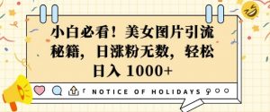 小白必看，美女图片引流秘籍，日涨粉无数，轻松日入几张【揭秘】-沐风资源库