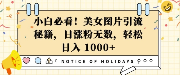 小白必看，美女图片引流秘籍，日涨粉无数，轻松日入几张【揭秘】-沐风资源库