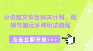 小说推文项目38天计划，剪辑与搬运多种玩法教程-沐风资源库