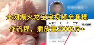 全网爆火龙宝宝视频全套操作流程，播放量2000万+-沐风资源库