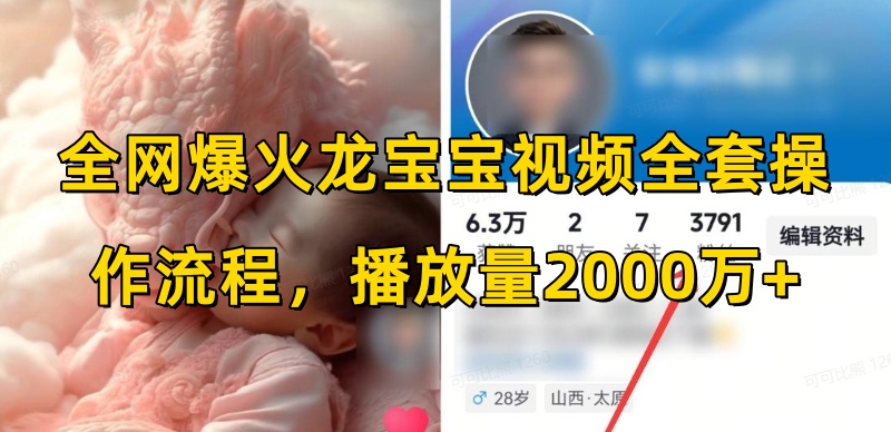 全网爆火龙宝宝视频全套操作流程，播放量2000万+-沐风资源库