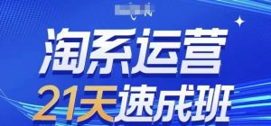 淘系运营21天速成班(更新24年12月)，0基础轻松搞定淘系运营，不做假把式-沐风资源库