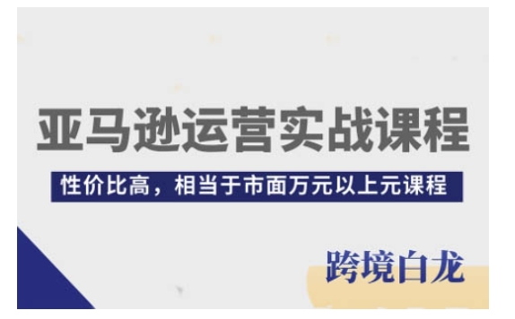 亚马逊运营实战课程，亚马逊从入门到精通，性价比高，相当于市面万元以上元课程-沐风资源库