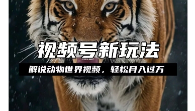 利用动物世界解说视频，赚分成计划收益，轻松月入过W，操作简单【揭秘】-沐风资源库