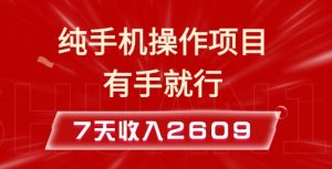 纯手机操作的小项目，有手就能做，7天收入2609+实操教程【揭秘】-沐风资源库
