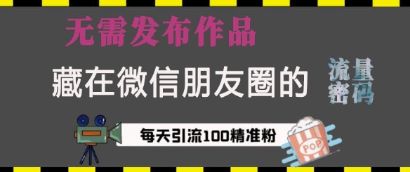 藏在微信朋友圈的流量密码,无需发布作品,单日引流100+精准创业粉【揭秘】-沐风资源库