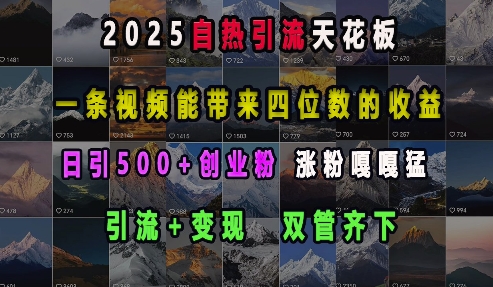 2025自热引流天花板，一条视频能带来四位数的收益，引流+变现双管齐下，日引500+创业粉，涨粉嘎嘎猛-沐风资源库
