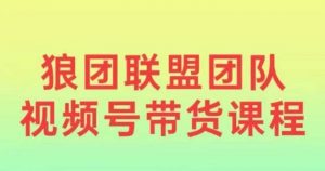 狼团联盟2024视频号带货，0基础小白快速入局视频号-沐风资源库