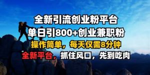 全新引流创业粉平台 单日引800+，创业兼职粉，操作简单，每天仅需8分钟【仅揭秘】-沐风资源库