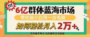 6亿群体蓝海市场，零经验小白用一台电脑，如何轻松月入过w【揭秘】-沐风资源库