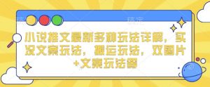 小说推文最新多种玩法详解，实况文案玩法，搬运玩法，双图片+文案玩法等-沐风资源库