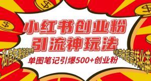 小红书创业粉引流神玩法，单图笔记引爆500+精准创业粉丝，私信狂潮接连不断-沐风资源库