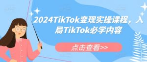 2024TikTok变现实操课程，入局TikTok必学内容-沐风资源库