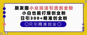朋友圈小众玩法引流创业粉，小白也能打爆创业粉，日引300+精准创业粉【揭秘】-沐风资源库