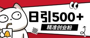 最新抖音引流创业粉，几分钟一个视频，非常暴力，小白直接可上手操作【揭秘】-沐风资源库