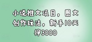 小说推文项目，图文创作玩法，新手10天挣3000-沐风资源库