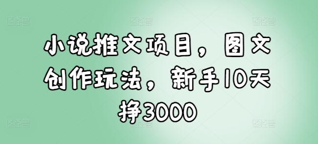 小说推文项目，图文创作玩法，新手10天挣3000-沐风资源库