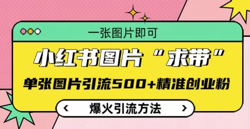 小红书图片‘求带’爆火引流法，单张图片引流500+精准创业粉【揭秘】-沐风资源库