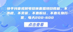 快手抖音视频号放映直播项目教程，不违规，不卖货，不靠粉丝，不靠礼物打赏，每天200-600-沐风资源库