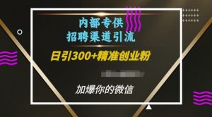 内部招聘渠道日引流300+创业粉，加爆你的微信【揭秘】-沐风资源库