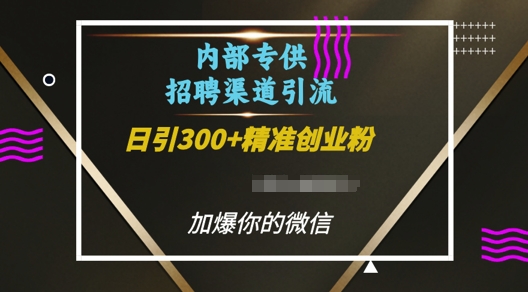 内部招聘渠道日引流300+创业粉，加爆你的微信【揭秘】-沐风资源库