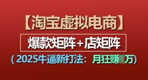 淘宝虚拟电商，2025牛逼新打法：爆款矩阵+店矩阵，月入过万-沐风资源库