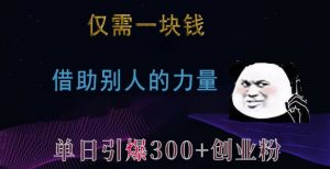 仅需一块钱，借助别人的力量，单日引爆300+创业粉、兼职粉【揭秘】-沐风资源库